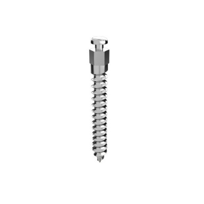 Templant Implant L 13 mm - Piece